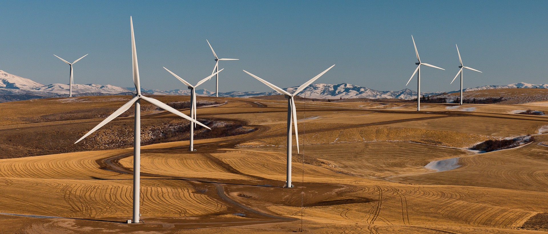 In addition of being sustainable, wind turbines can be majestic